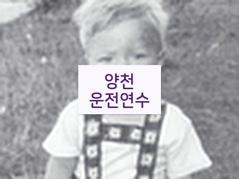 양천운전연수 후기