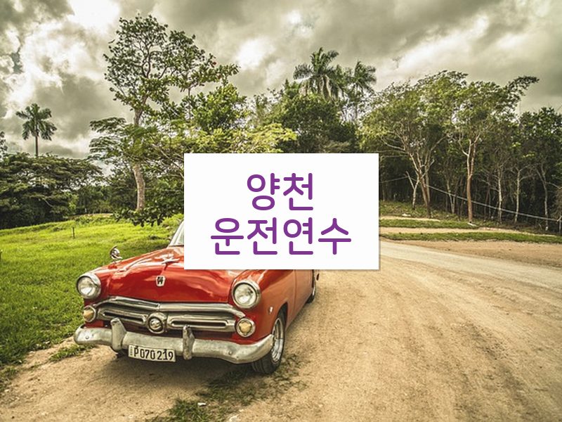양천운전연수 후기