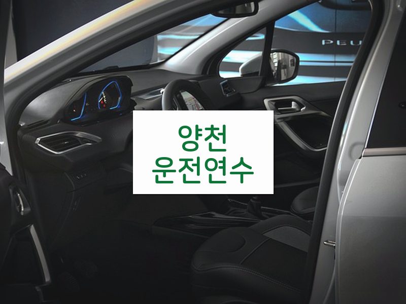 양천운전연수 후기