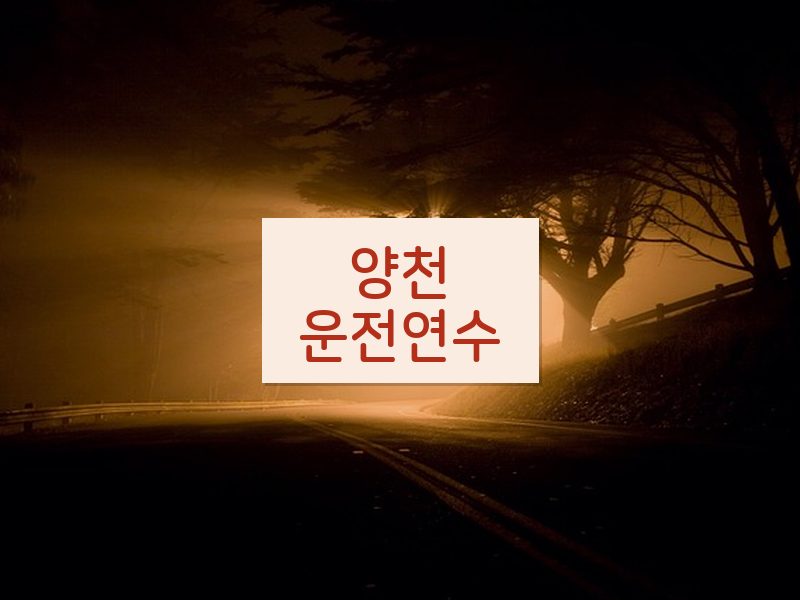 양천운전연수 후기
