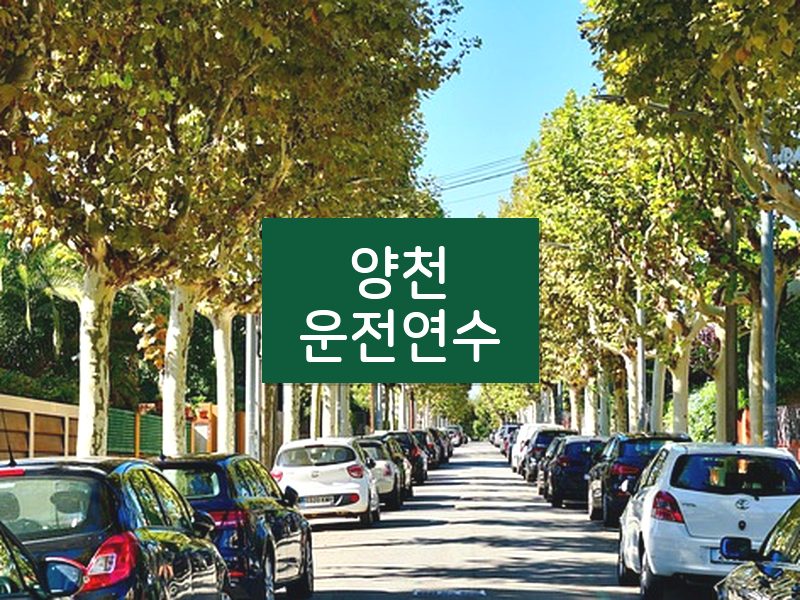 양천운전연수 후기
