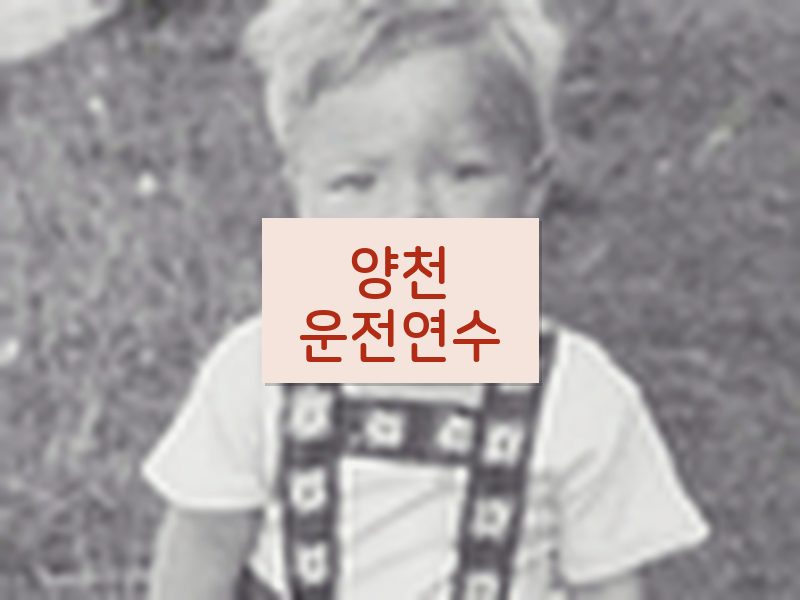 양천운전연수 후기