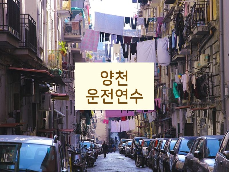 양천운전연수 후기