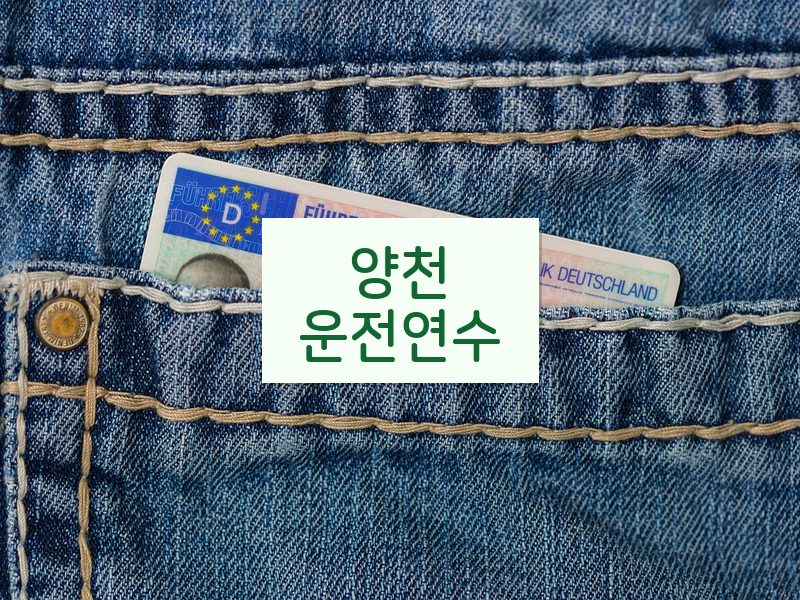 양천운전연수 후기
