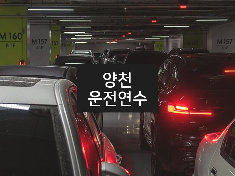 양천운전연수 후기