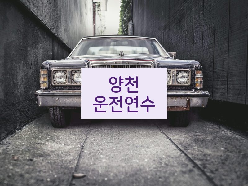 양천운전연수 후기