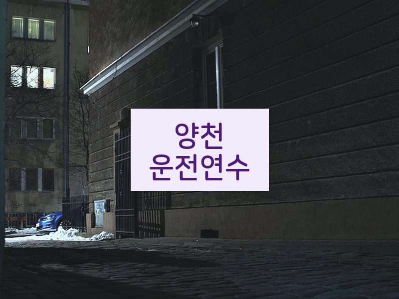 양천운전연수 후기