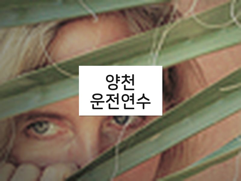 양천운전연수 후기