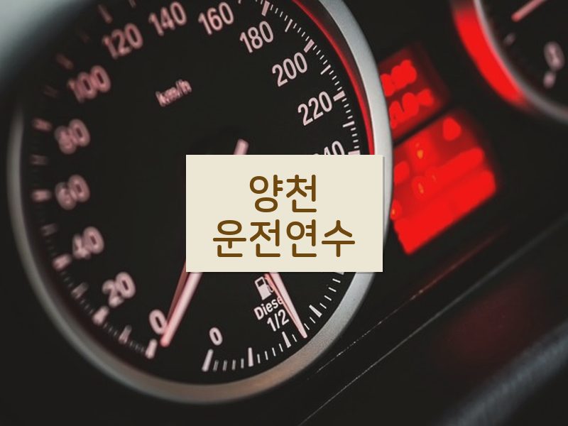 양천운전연수 후기