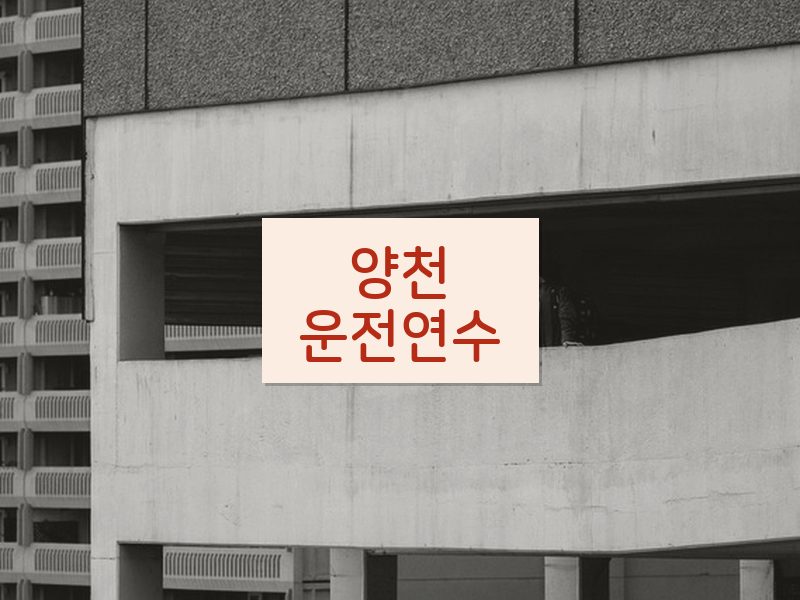 양천운전연수 후기