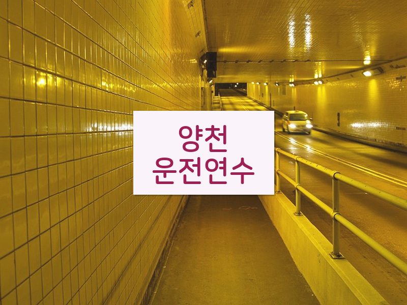 양천운전연수 후기