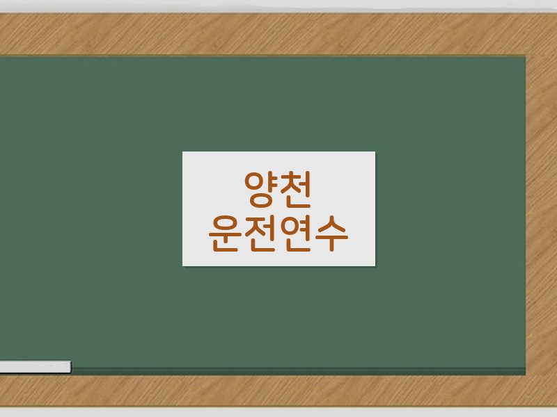 양천운전연수 후기