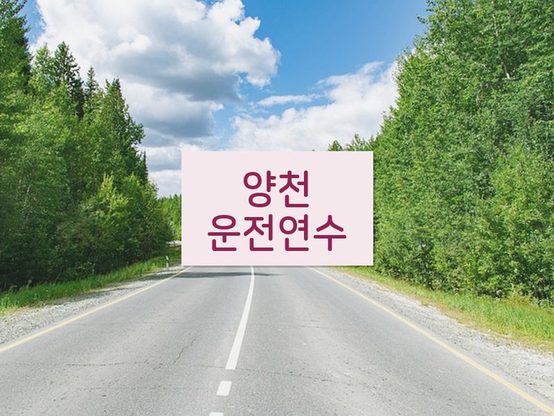 양천운전연수 후기