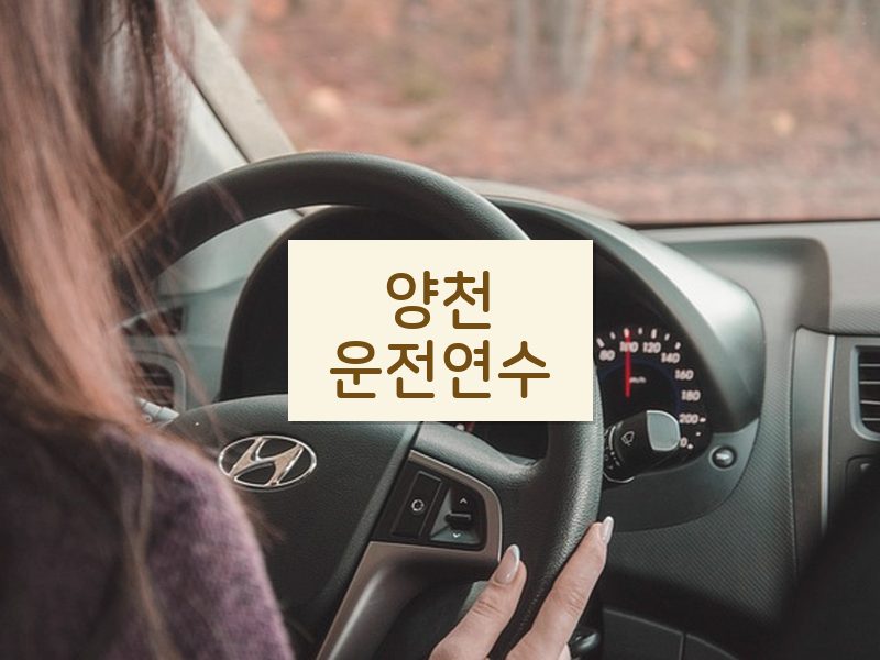 양천운전연수 후기