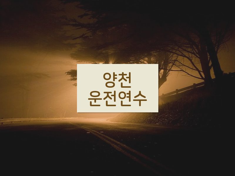 양천운전연수 후기