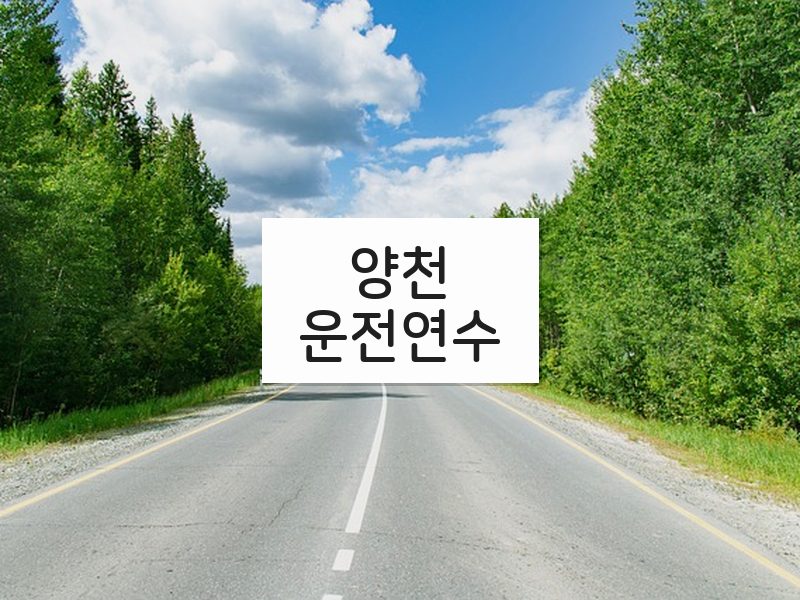 양천운전연수 후기