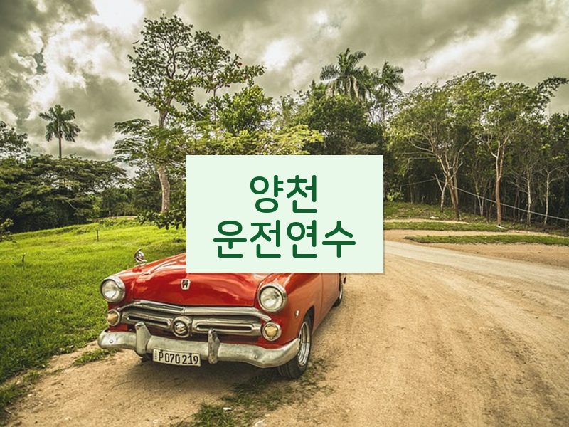 양천운전연수 후기