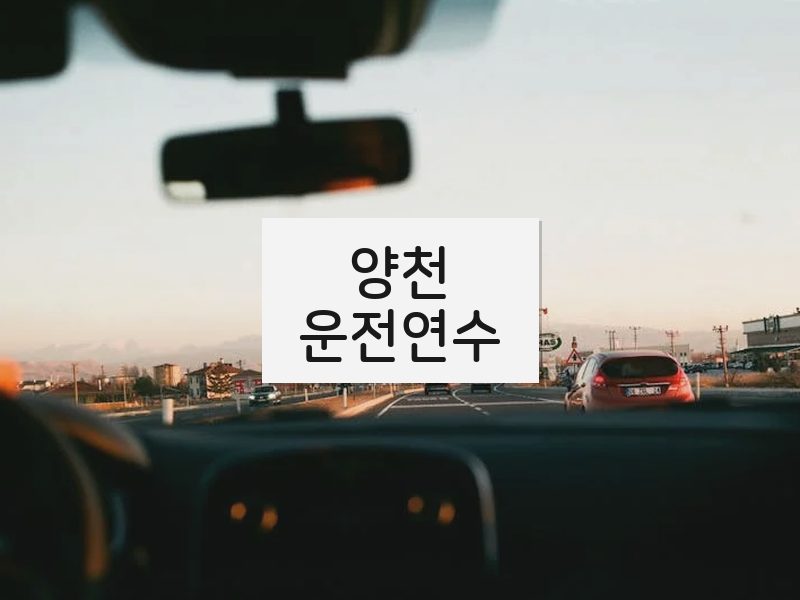양천운전연수 후기