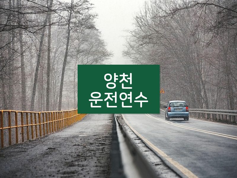 양천운전연수 후기