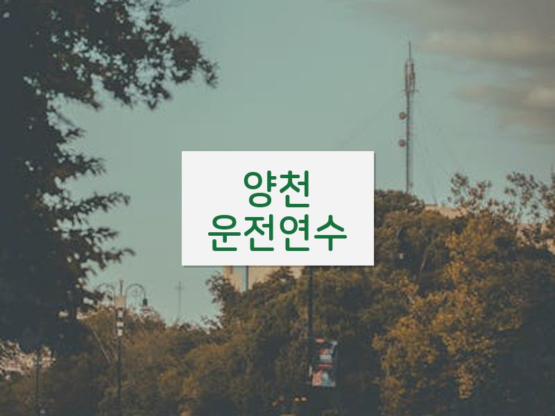 양천운전연수 후기