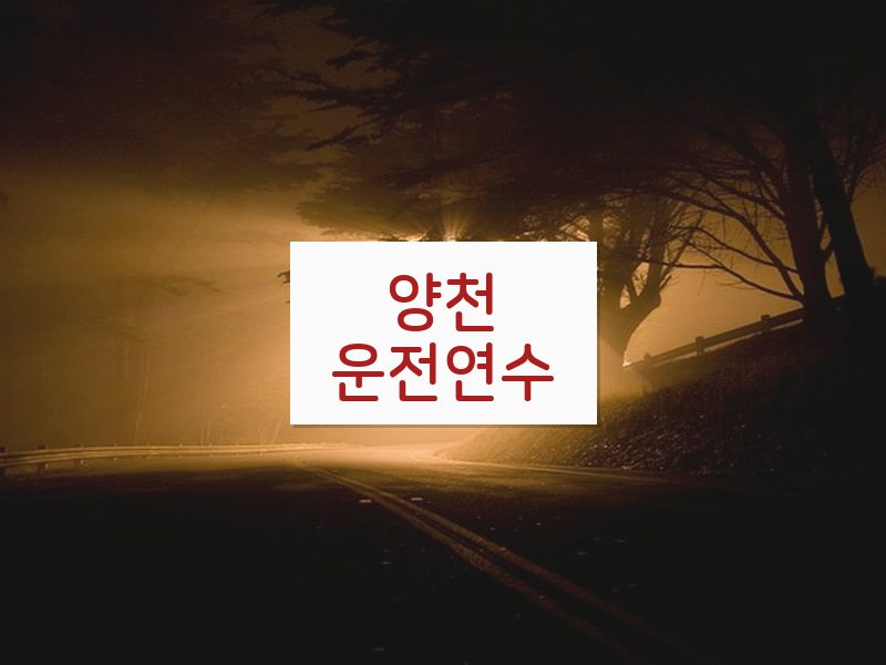 양천운전연수 후기