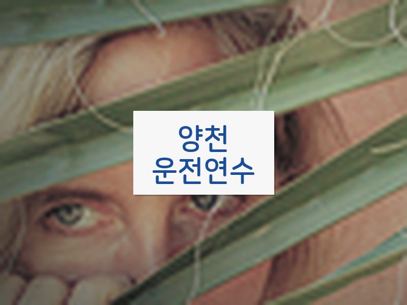 양천운전연수 후기