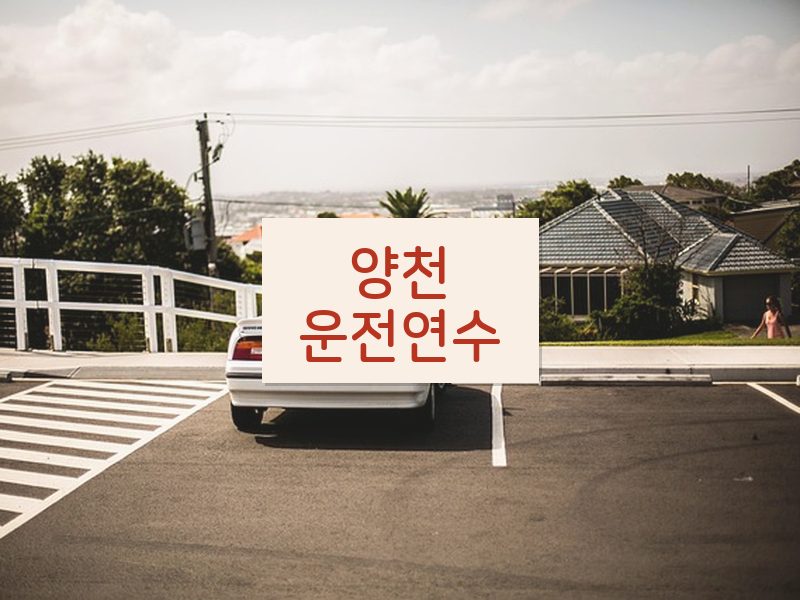 양천운전연수 후기