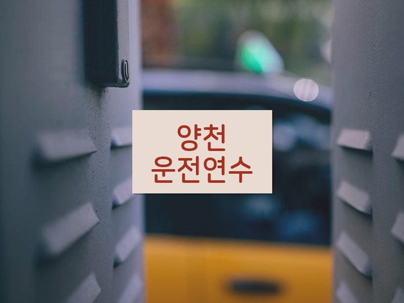 양천운전연수 후기