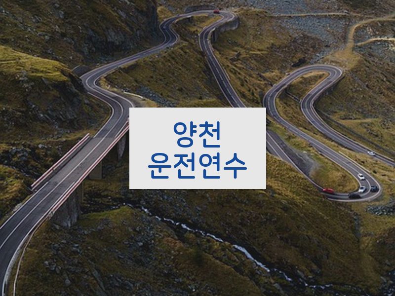 양천운전연수 후기
