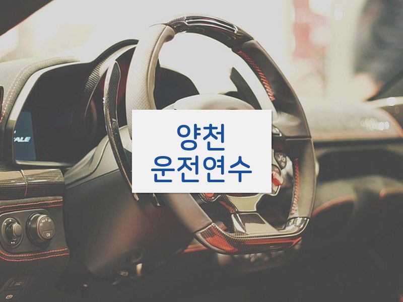 양천운전연수 후기
