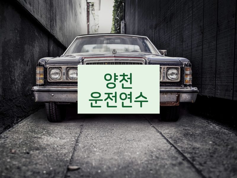 양천운전연수 후기