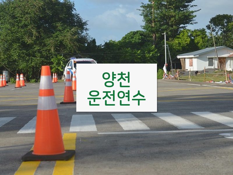 양천운전연수 후기
