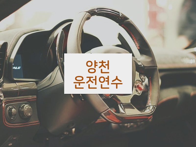 양천운전연수 후기