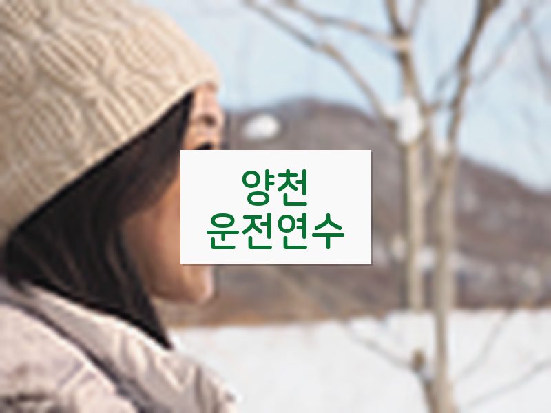 양천운전연수 후기