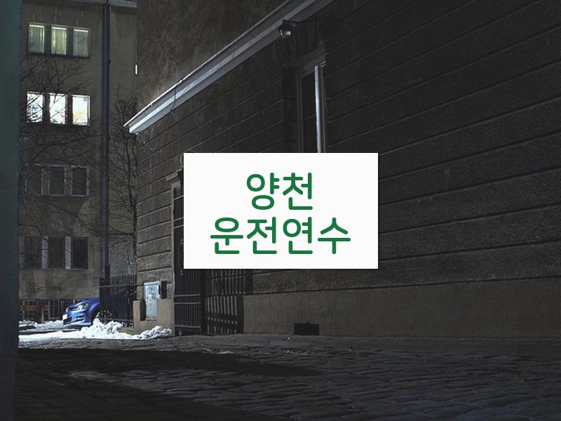 양천운전연수 후기