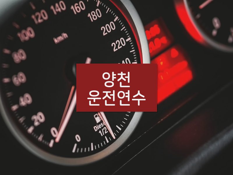 양천운전연수 후기