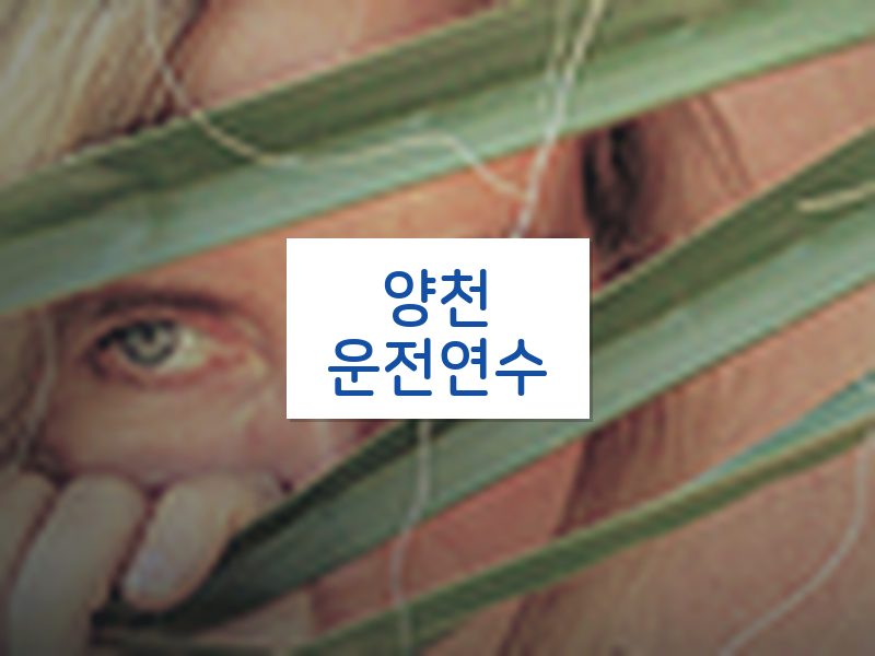 양천운전연수 후기