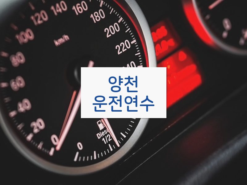 양천운전연수 후기