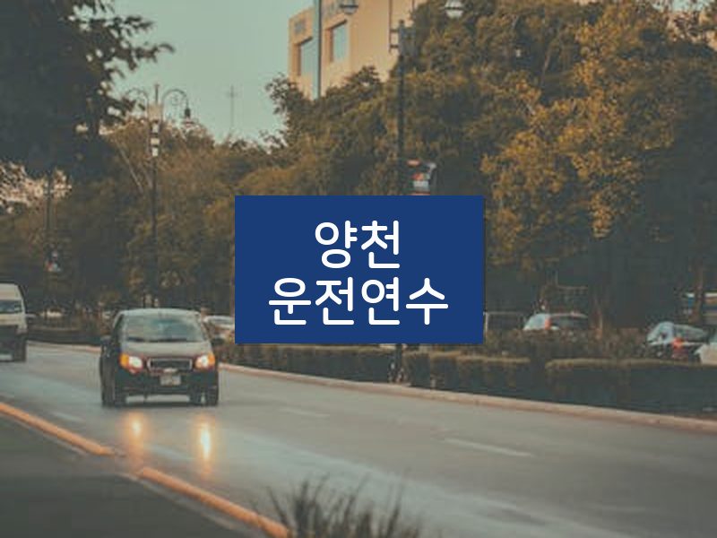 양천운전연수 후기