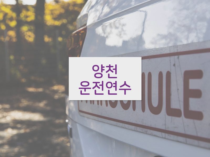 양천운전연수 후기