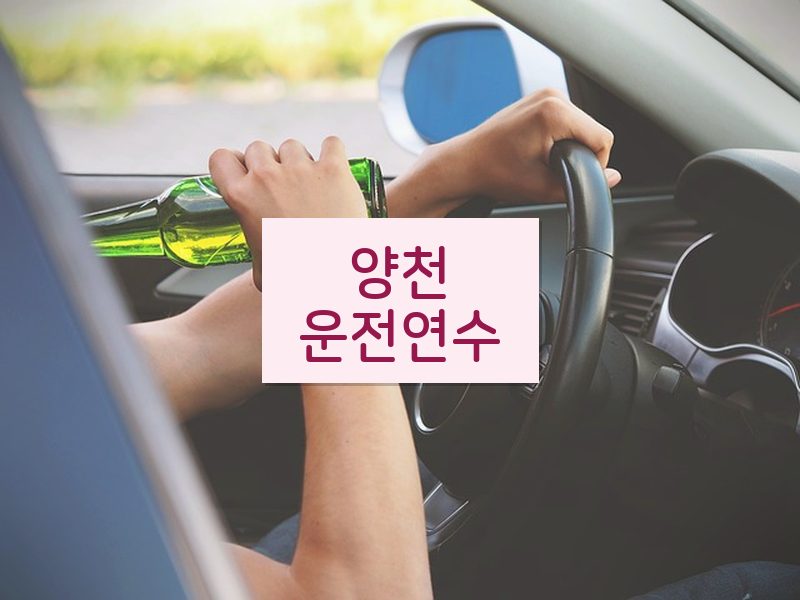 양천운전연수 후기