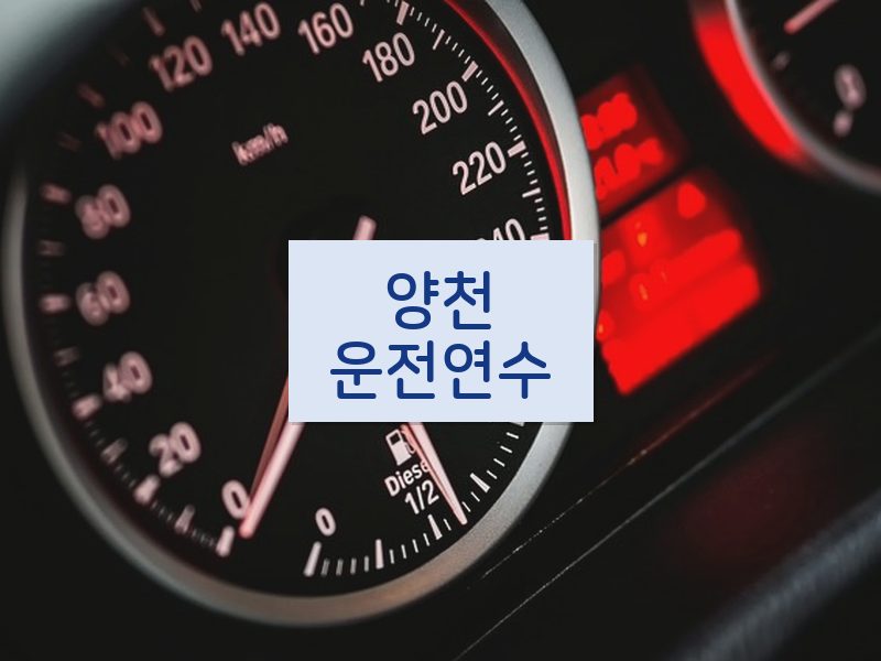 양천운전연수 후기