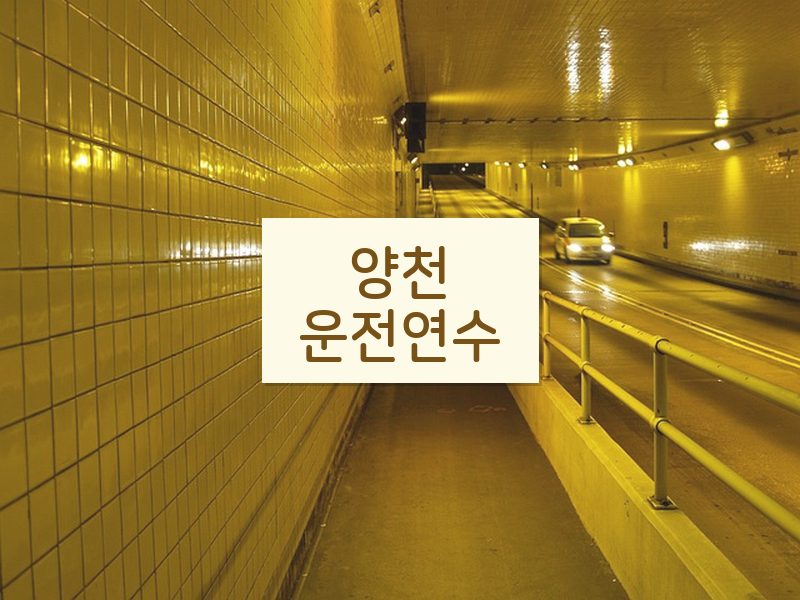 양천운전연수 후기