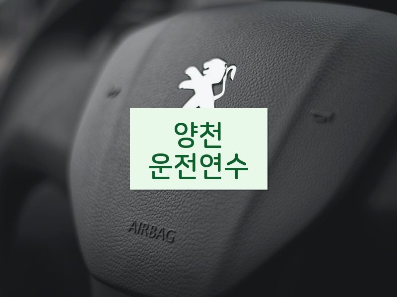 양천운전연수 후기
