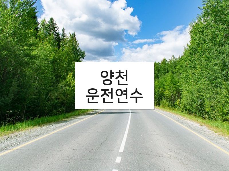 양천운전연수 후기