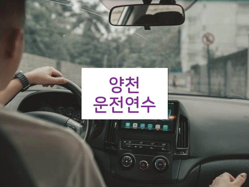 양천운전연수 후기