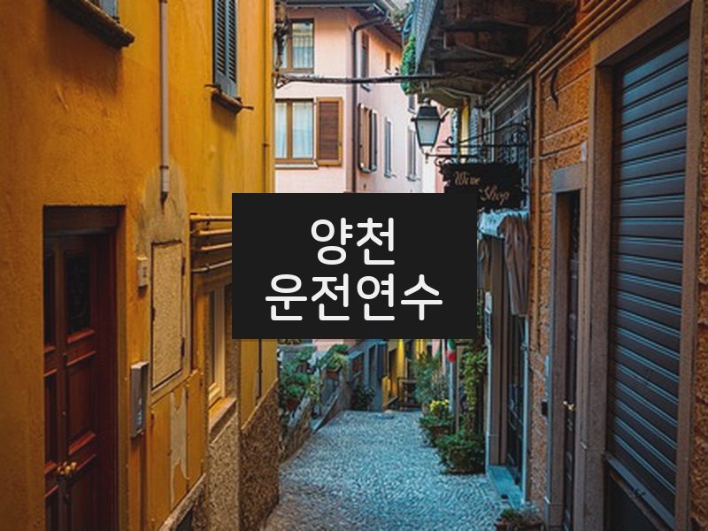 양천운전연수 후기
