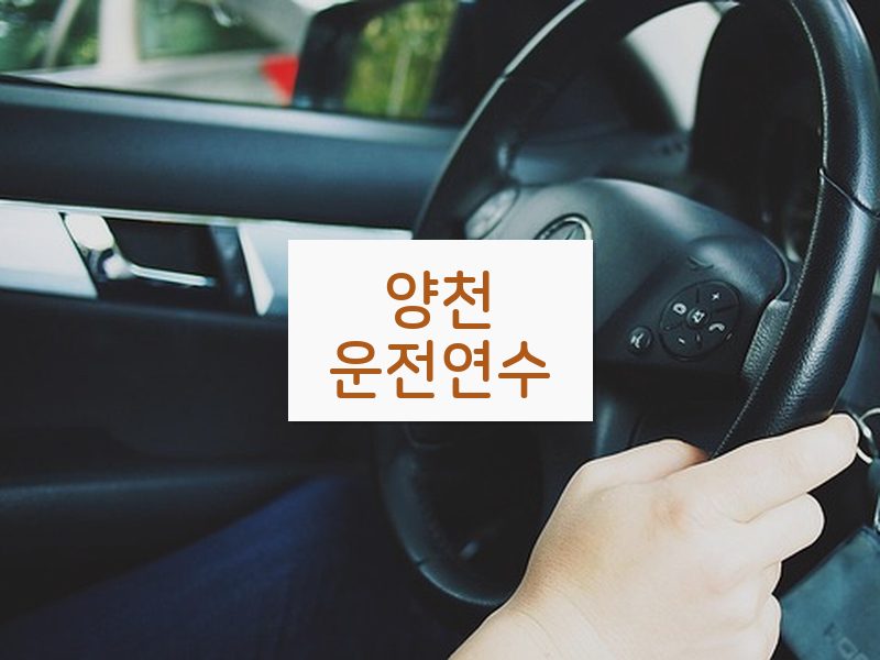 양천운전연수 후기