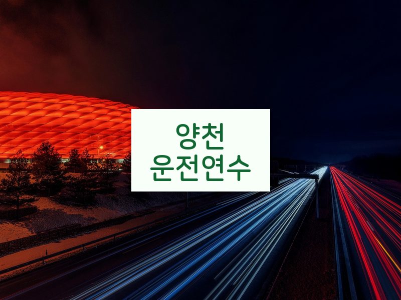 양천운전연수 후기