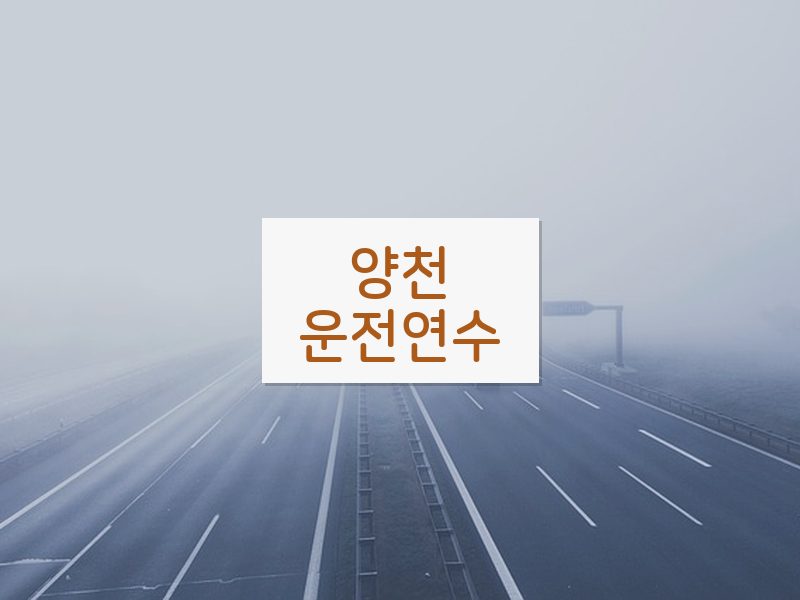 양천운전연수 후기